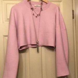 PRICE DROPPED ⬇️ Zara Crop sweater